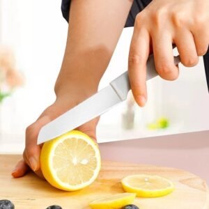 10 pcs paring knife set​/Color Mix kitchen/camping/fish knife